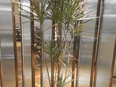 -天伦松鹤大饭店·欣妮咖啡