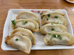 鲜肉锅贴-小姜锅贴(凤凰街店)