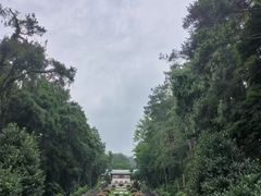 -南岳衡山风景名胜区