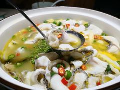 -青花椒花椒鱼(合生汇店)