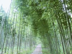-杭州双溪漂流景区