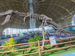 -诸城市恐龙博物馆