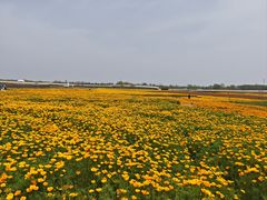 -江苏三台山国家森林公园