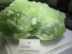 -湖南省地质博物馆