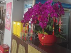 -全聚德烤鸭店(马家堡店)