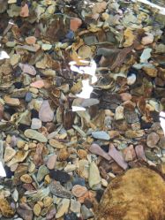 -钓虾工场·钓虾·赶海(回龙观店)