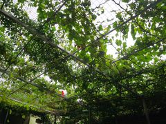 -伊隆斋(什刹海店)