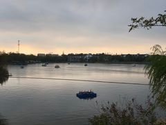-上海长兴岛郊野公园