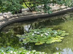 -碑林公园
