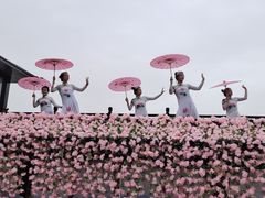 -苏州太湖国家湿地公园