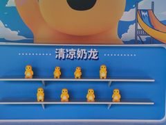 -杭州浪浪浪水公园