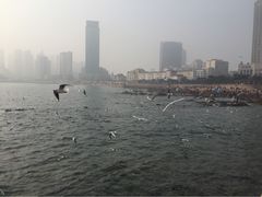 iphone_upload_pic-栈桥景区