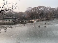 -石家庄市动物园