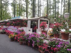 -东平国家森林公园