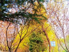 -安定门(地铁站)