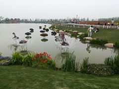 -荷兰花海