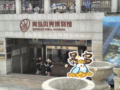 -青岛贝壳博物馆