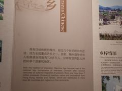 -中国客家博物馆