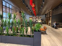-新加坡明古连奥克伍德酒店
