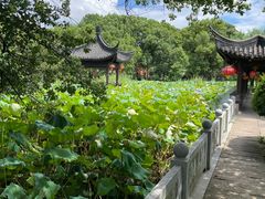 -丝绸小镇荻港古村