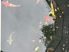 -西安市广仁寺