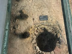 -南越王博物院(王宫展区)