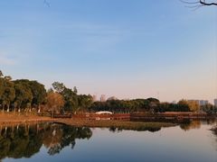 -金银湖国家城市湿地公园