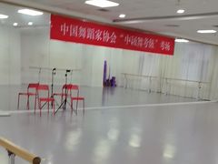 -西安小天鹅艺术团(金花路校区)