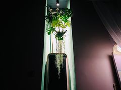 -泰乐道·SPA·按摩·足道(坡子街店)