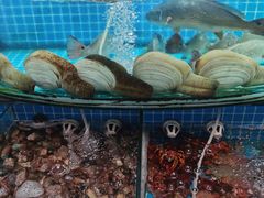 水产区-望海潮海鲜店 特色家常菜(在海一方店)