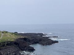 -涉地可支
