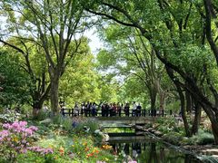 -上海共青森林公园