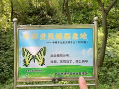 -老山国家森林公园