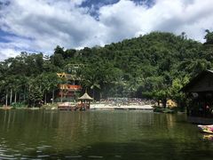-西双版纳原始森林公园