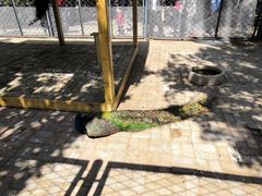 -长白岛森林公园