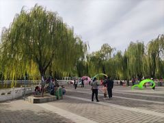 -丰台花园