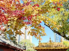 -护国法轮寺