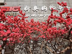 -新奥购物中心