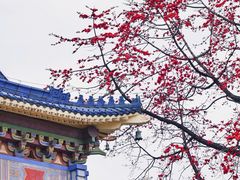 -广州中山纪念堂