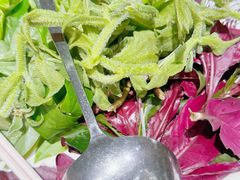 -天瑞轩·粤菜餐厅