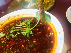 -胖大姐黄辣丁鱼庄(新津店)