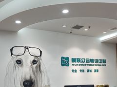 -美联众合动物医院·24h转诊中心