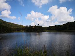 景点-海南热带雨林国家公园吊罗山景区