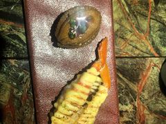 -炙柒Sekinana·精致料理 烧鸟·铁板烧(海上世界店)