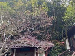 -十八棵（老龙井）御茶园(老龙井店)