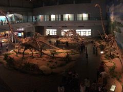 -自贡恐龙博物馆