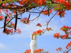 -三亚南山文化旅游区