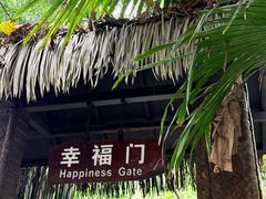 -呀诺达热带雨林