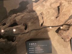 -大庆市博物馆