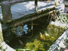 -小洲村
